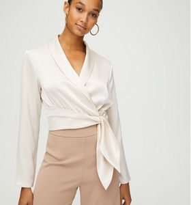 Aritzia:  Babaton Davis Blouse